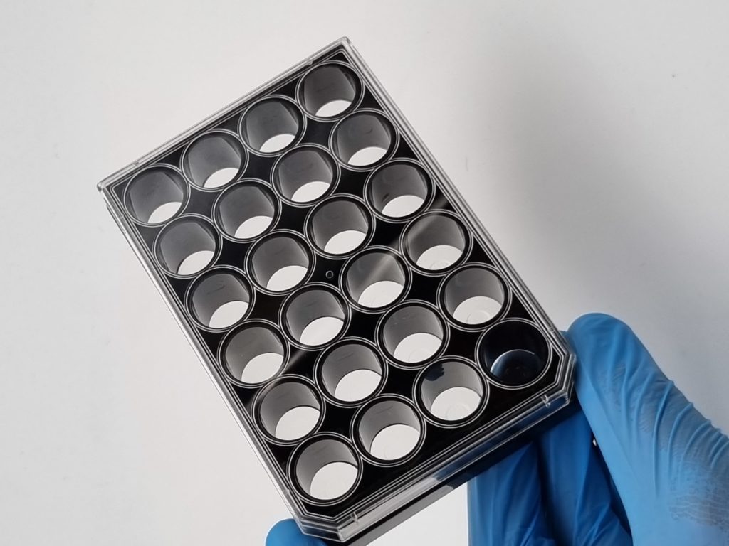 1667524711286051808.jpg 20220711_164151-1024x768.jpg