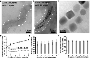 Screen Shot 2019-03-22 at 4.12.50 PM.png