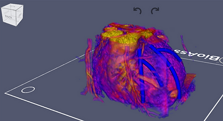 �� TSM �в鿴ҽѧͼ��