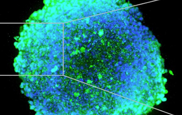 屏幕截图 2020-04-07 at 10.33.53.png