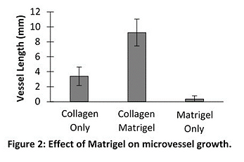 ���ʽ���΢Ѫ��������Ӱ��