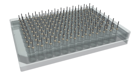 PerFuseIt ��κ����