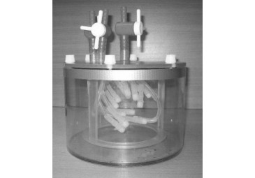 ��״������Ӱ