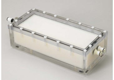 �������ֲ������Ѫ����Ӱ