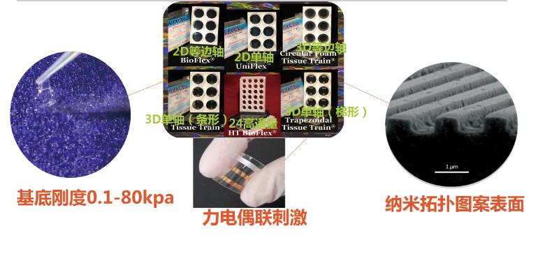 1675867060307004467.jpg QQ截图20230208224023.jpg