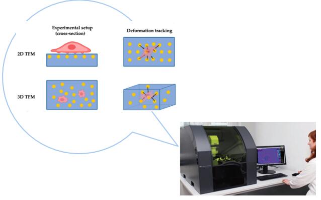 1686022289445050019.jpg QQ截图20230606113157.jpg