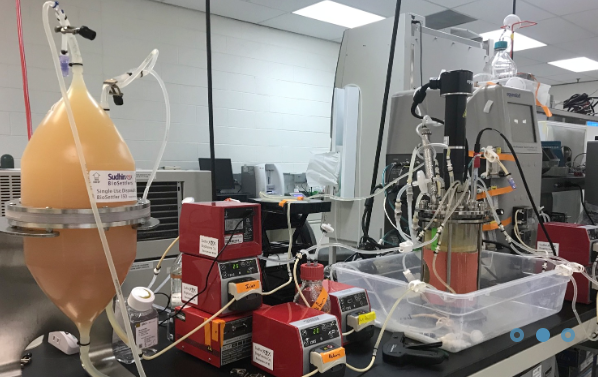 Perfusion BioReactor.png