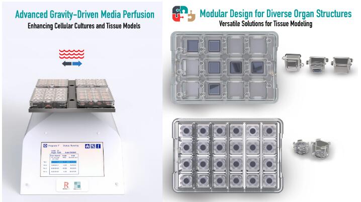 CELLBLOKS NANOSTACKS��������ϸ������������ƽ̨��CELLBLOKS���弴���Ͷ�����оƬƽ̨���������໥�������������豸.jpg