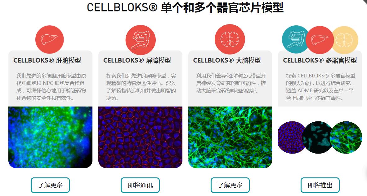 CELLBLOKS? �����Ͷ������оƬģ��.jpg