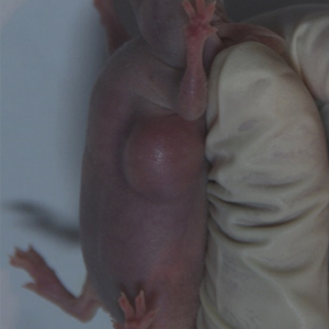 1715942576668020209.jpg 1710937044149761.jpg