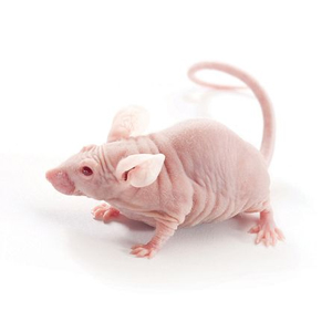 1715942617976099841.jpg 1710937074539786.jpg