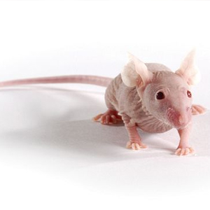 1715942733260098393.jpg 1710937084480855.jpg