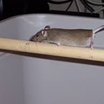 1715947435951094504.png 1711420525364147.png