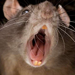 1715947777108083750.png 1711420538189011.png