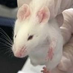 1715947803811031796.png 1711420542124201.png