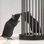 1715947913338069189.png 1711420550745969.png