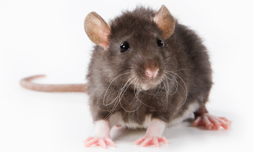 1715949035275091146.png 1711464061588414.png