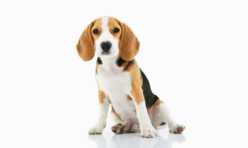 1715949134123032144.png 1711464075151033.png