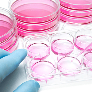 1716172871482099537.jpg 1710920544213647.jpg