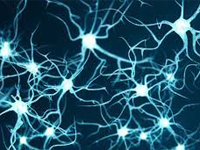 1716173596088052046.jpg 1711967017589862.jpg