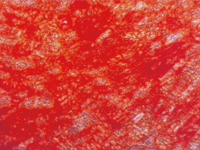 1716173649421099318.jpg 1711967081194506.jpg