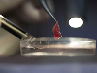 1716173669460024648.jpg 1711967101407180.jpg