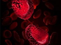 1716173752821013306.jpg 1711967177127073.jpg