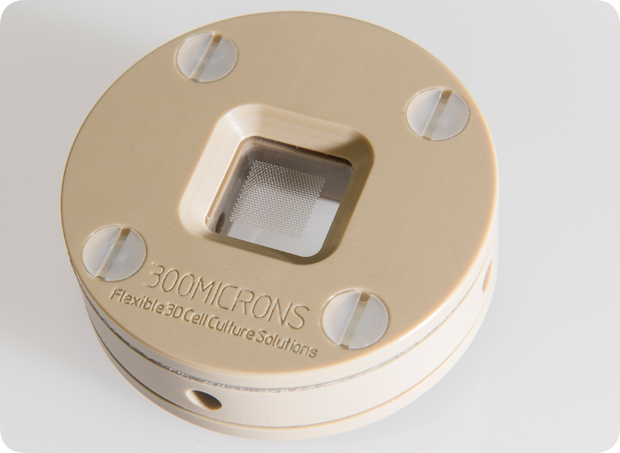 1741333977995093406.png QQ_1741333963515.png