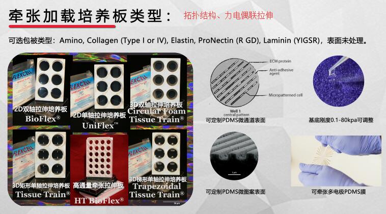 flexcell拓扑微图案力电偶联培养仪