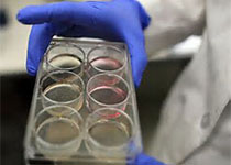 1513311966987409.jpeg fasgaerhgr.jpg