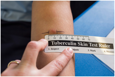 1513560418890513.png 1.jpg