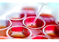 1514196991362822.jpeg thfasga.jpg