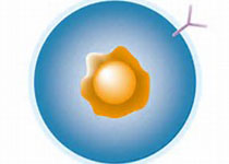 1517890539738850.jpeg dagj.jpg