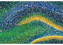 1531099667798555.jpeg 116.jpg