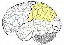 1542882355648190.jpeg fdahgj.jpg