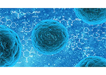 1609807726733778.jpeg stem-cell-163711__340.jpg